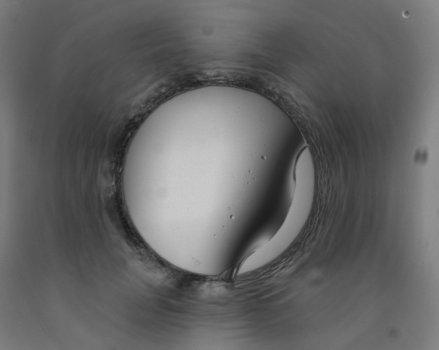 X0000091990751200709271447