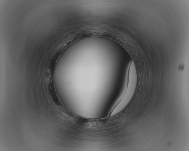 X0000091990752200709271447