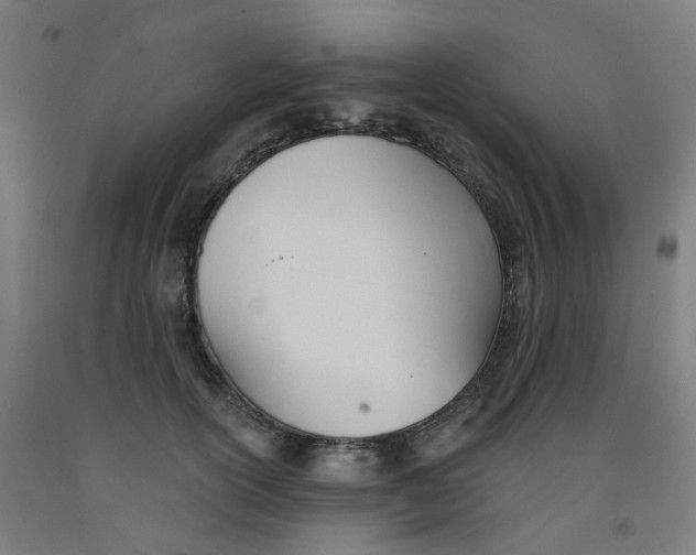 X0000091990754200709271447