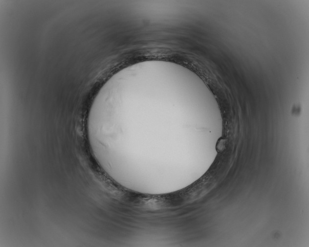 X0000091990755200709271447