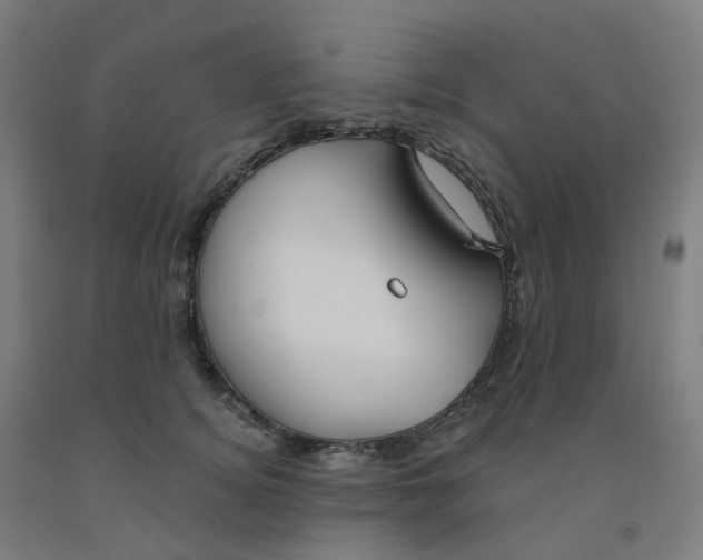 X0000091990756200709271447