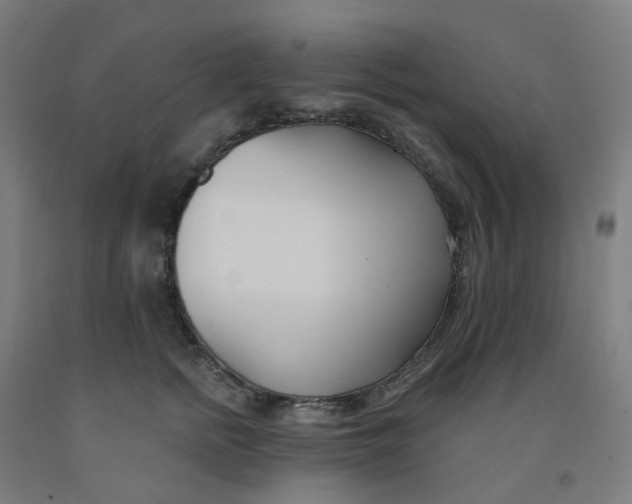 X0000091990758200709271447