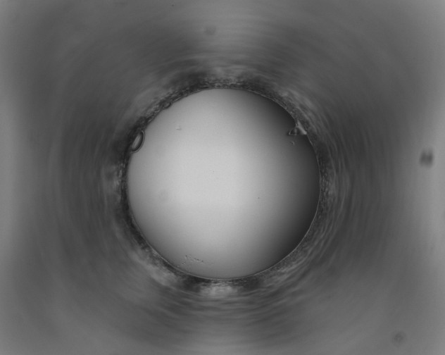 X0000091990759200709271447