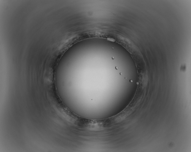 X0000091990760200709271447