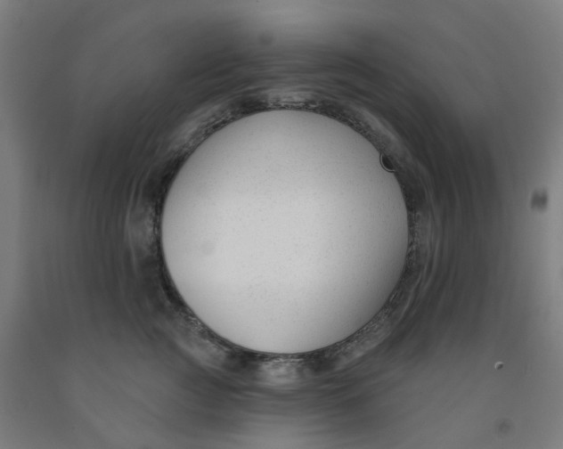 X0000091990761200709271447