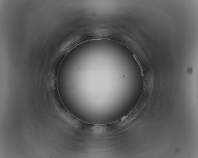 X0000091990762200709271447