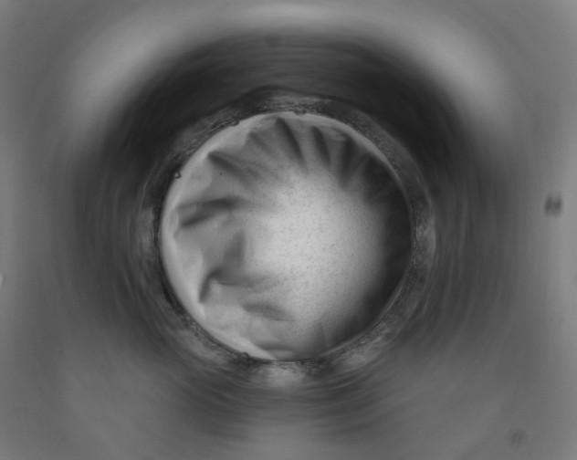 X0000091990765200709271447