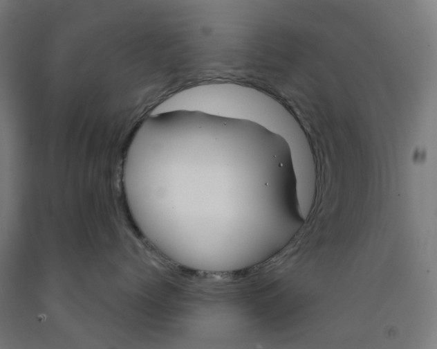 X0000091990768200709271447