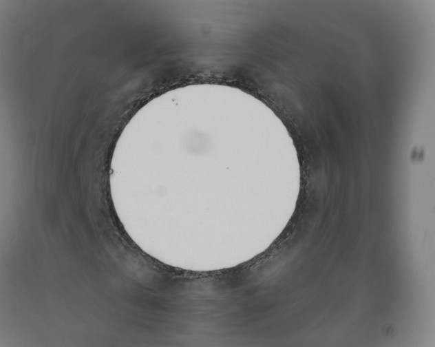 X0000091990769200709271447