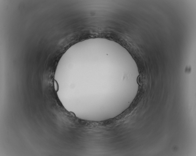 X0000091990770200709271447