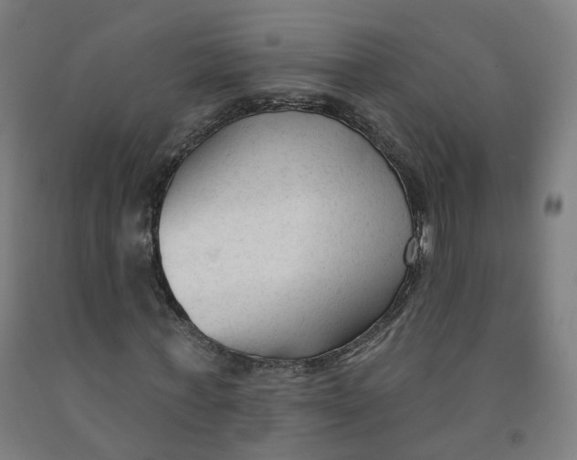 X0000091990771200709271447