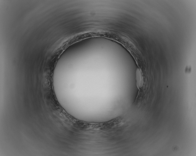 X0000091990773200709271447