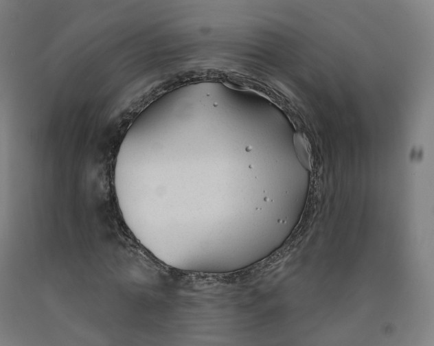 X0000091990774200709271447