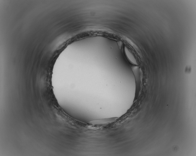 X0000091990775200709271447