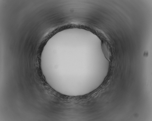 X0000091990776200709271447