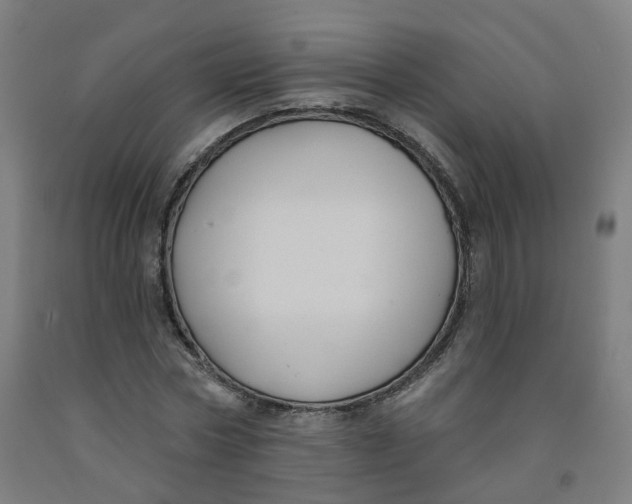 X0000091990778200709271447