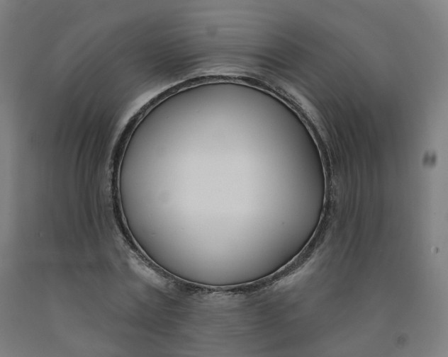 X0000091990779200709271447