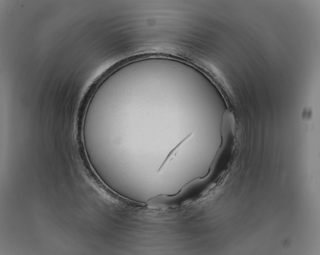 X0000091990780200709271447