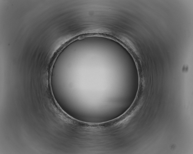 X0000091990781200709271447