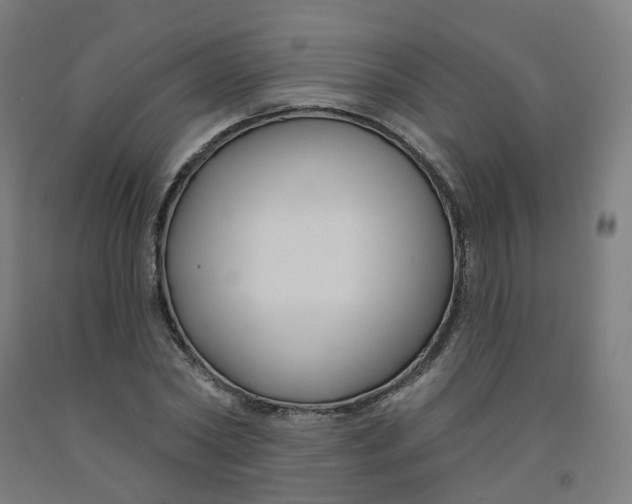 X0000091990782200709271447