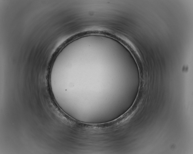 X0000091990783200709271447