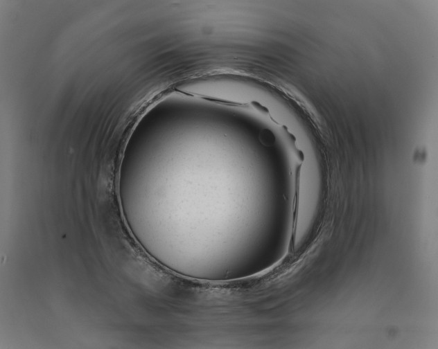 X0000091990785200709271447