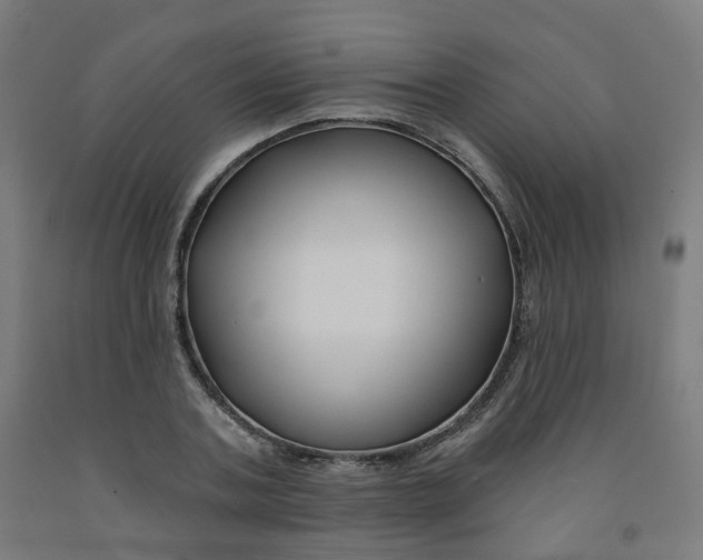 X0000091990787200709271447