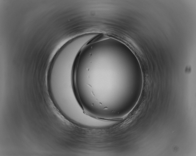 X0000091990788200709271447