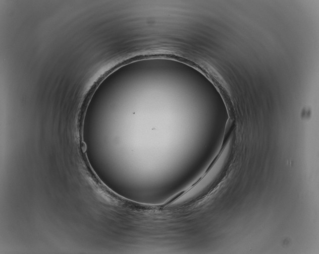 X0000091990789200709271447