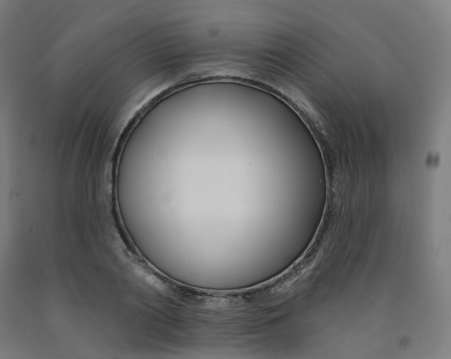 X0000091990790200709271447