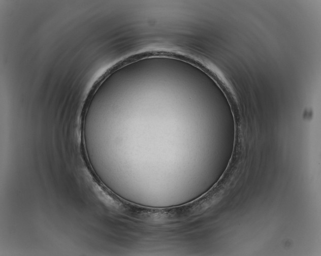 X0000091990791200709271447