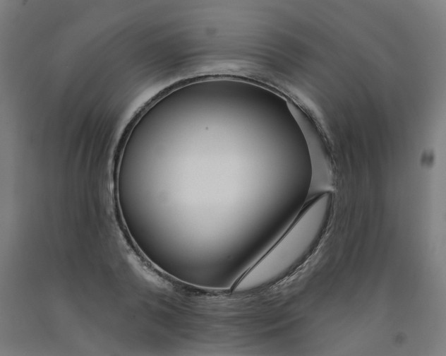 X0000091990792200709271447