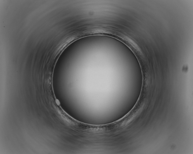 X0000091990793200709271447