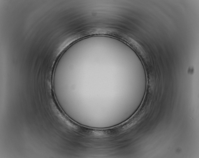 X0000091990794200709271446