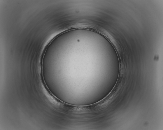 X0000091990795200709271446