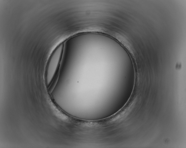 X0000091990797200709271446