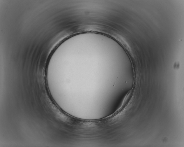 X0000091990798200709271446