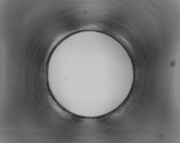 X0000091990800200709271446