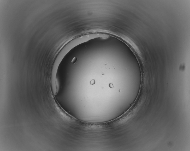 X0000091990801200709271446