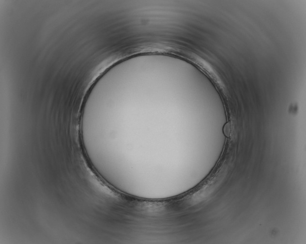 X0000091990802200709271446