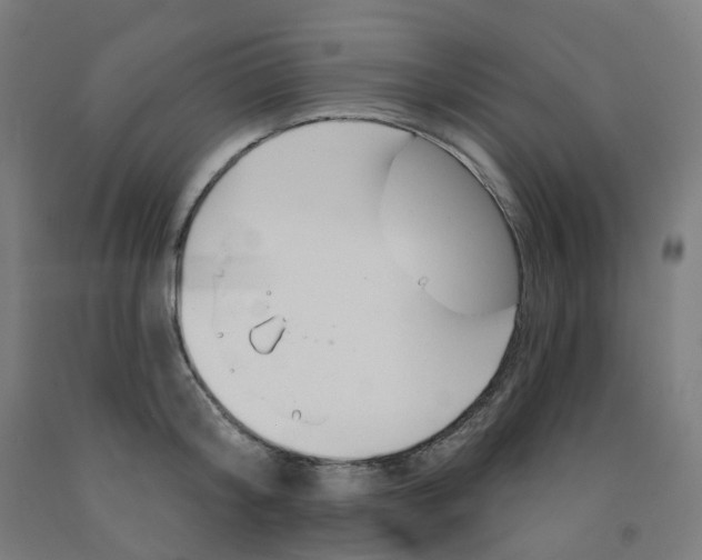 X0000091990804200709271446