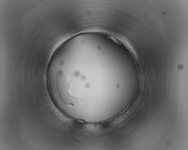 X0000091990805200709271446