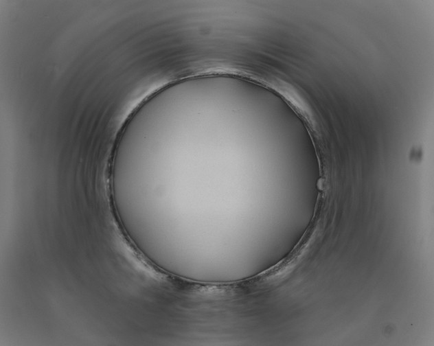 X0000091990806200709271446