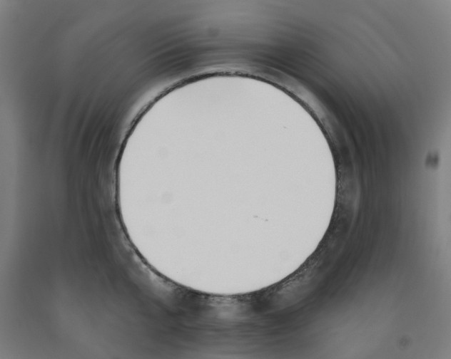 X0000091990807200709271446