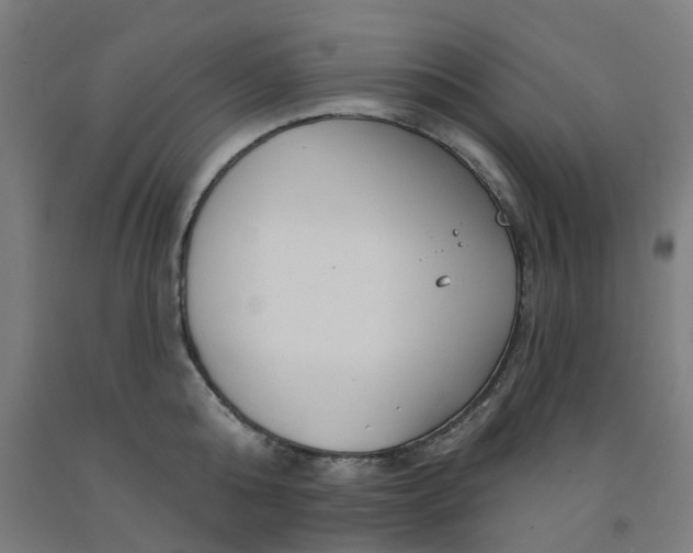 X0000091990808200709271446