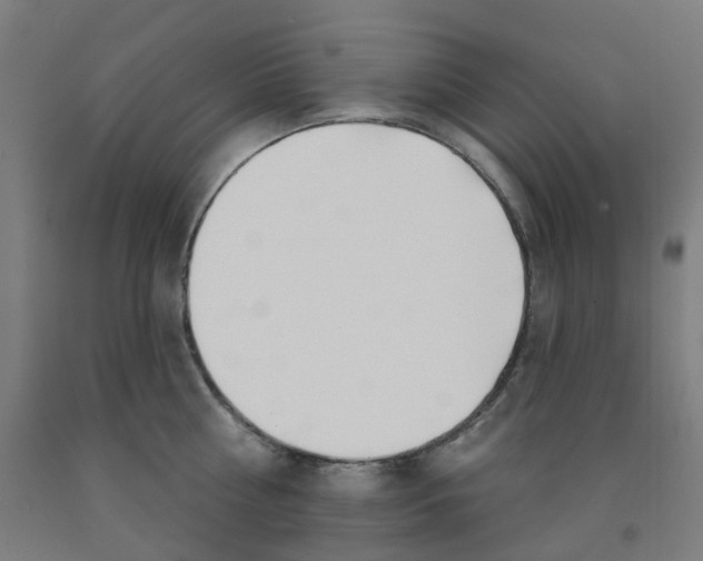 X0000091990810200709271446