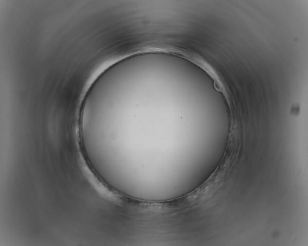 X0000091990811200709271446