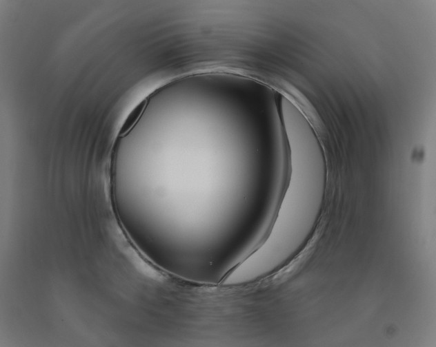 X0000091990812200709271446