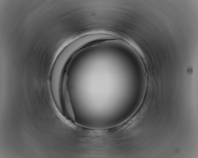 X0000091990813200709271446