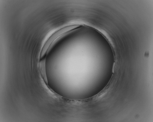 X0000091990815200709271446